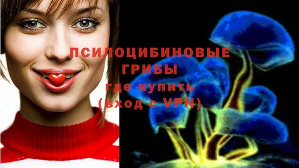 прущие грибы Верея