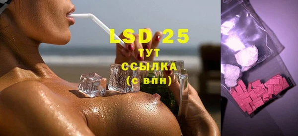 прущие грибы Верея