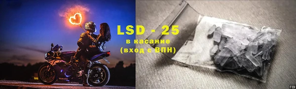 прущие грибы Верея