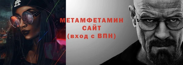 прущие грибы Верея