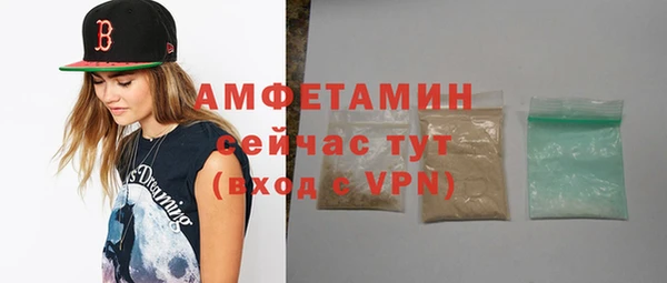 прущие грибы Верея