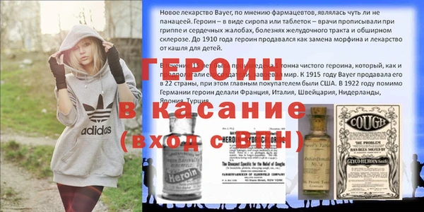прущие грибы Верея