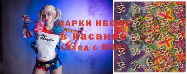прущие грибы Верея
