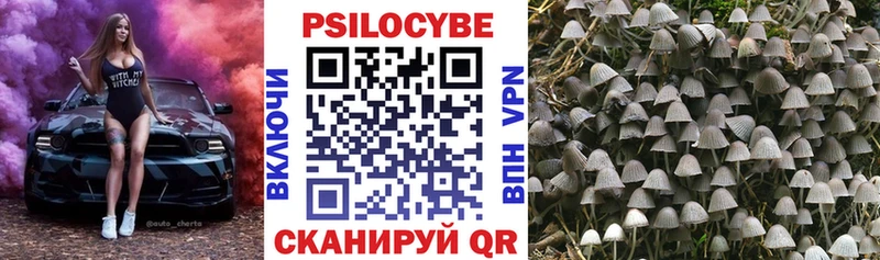 Псилоцибиновые грибы Psilocybine cubensis  Дмитровск 